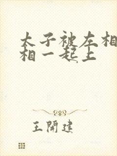 太子被左相和右相一起上