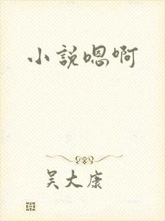 小说嗯啊