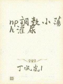 np调教小荡货h灌尿