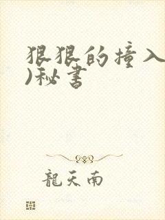 狠狠的撞入(h)秘书