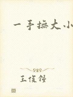 一手抚大小说