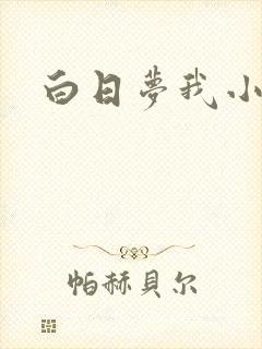白日梦我小说