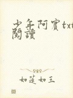 少年阿宾txt阅读