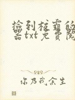 捡到校霸的遥控器txt免费阅读