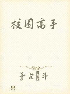 校园高手