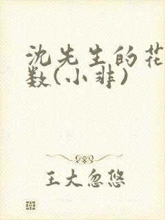 沈先生的花式调数(小非)