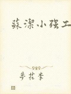 苏洁小强工地情