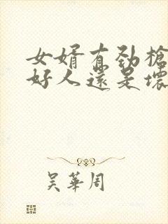 女婿有劲枪枪是好人还是坏人