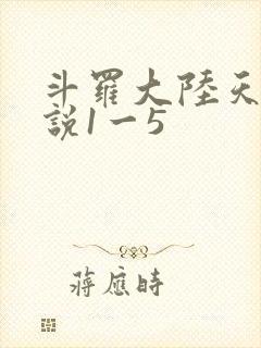 斗罗大陆天狂传说1一5
