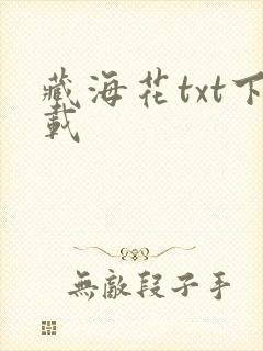 藏海花txt下载