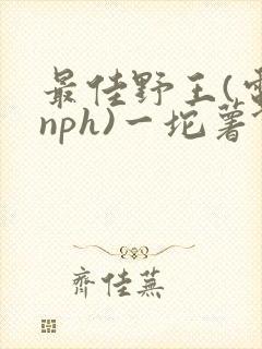 最佳野王(电竞nph)一坨薯饼