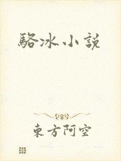 骆冰小说