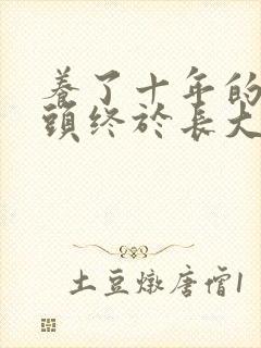 养了十年的小丫头终于长大了