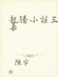 龙腾小说三宝局长