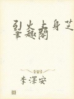 引火上身芝麻糖笔趣阁