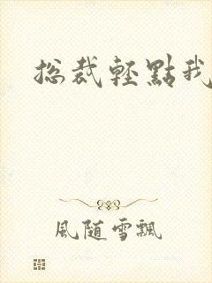 总裁轻点我怕疼