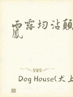 雨露均沾颠鸾倒凤