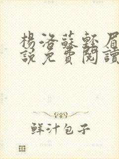 杨洛苏轻眉笔小说免费阅读