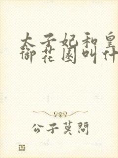 太子妃和皇帝在御花园叫什么小说