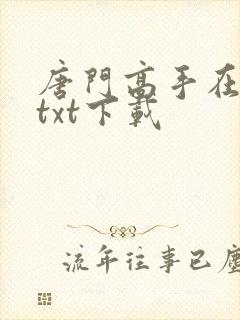 唐门高手在异世txt下载