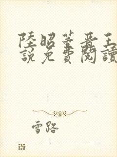 陆昭菱晋王的小说免费阅读