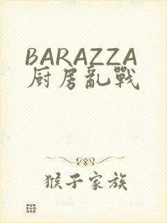 BARAZZA厨房乱战