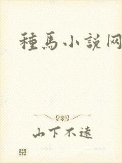 种马小说网