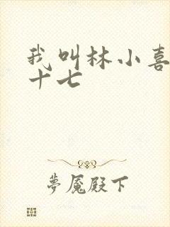 我叫林小喜今年十七