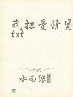 我把爱情煲成汤txt