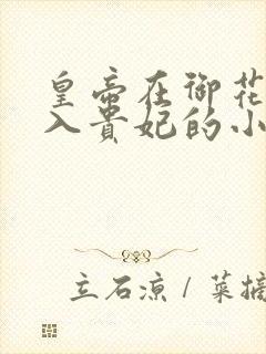 皇帝在御花园进入贵妃的小说