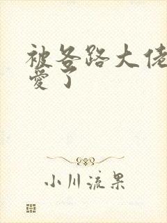 被各路大佬强制爱了