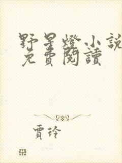 野星灯小说全文免费阅读