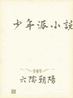 少年派小说