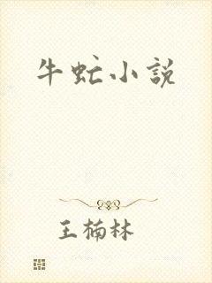 牛虻小说