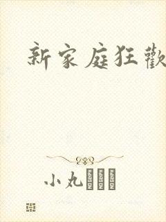 新家庭狂欢小说