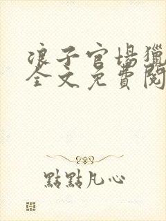 浪子官场猎艳记全文免费阅读