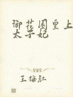 御花园皇上撞着太子妃