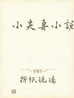 小夫妻小说