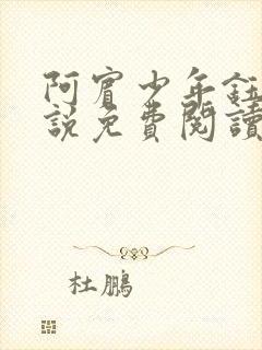 阿宾少年钰慧小说免费阅读笔趣阁