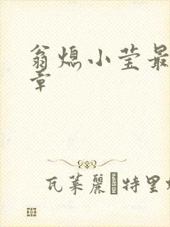翁熄小莹最新节章