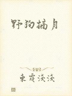 野狗摘月