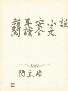 赵平安小说免费阅读全文