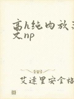 高h纯肉放荡h文np
