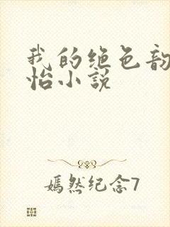 我的绝色韵母郑怡小说