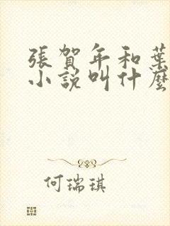 张贺年和叶繁姿小说叫什么名字