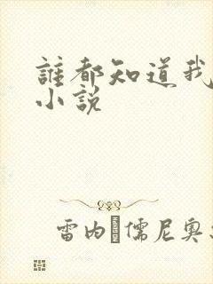 谁都知道我爱你小说