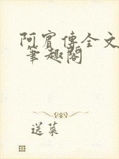 阿宾传全文阅读 笔趣阁