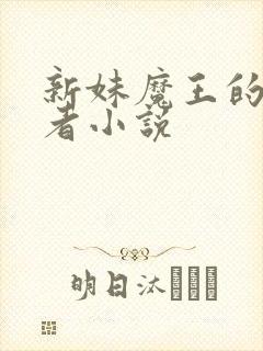 新妹魔王的契约者小说