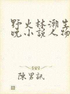 野火林潮生林晚晚小说人物野火