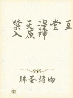 禁天漫堂直接进入原神